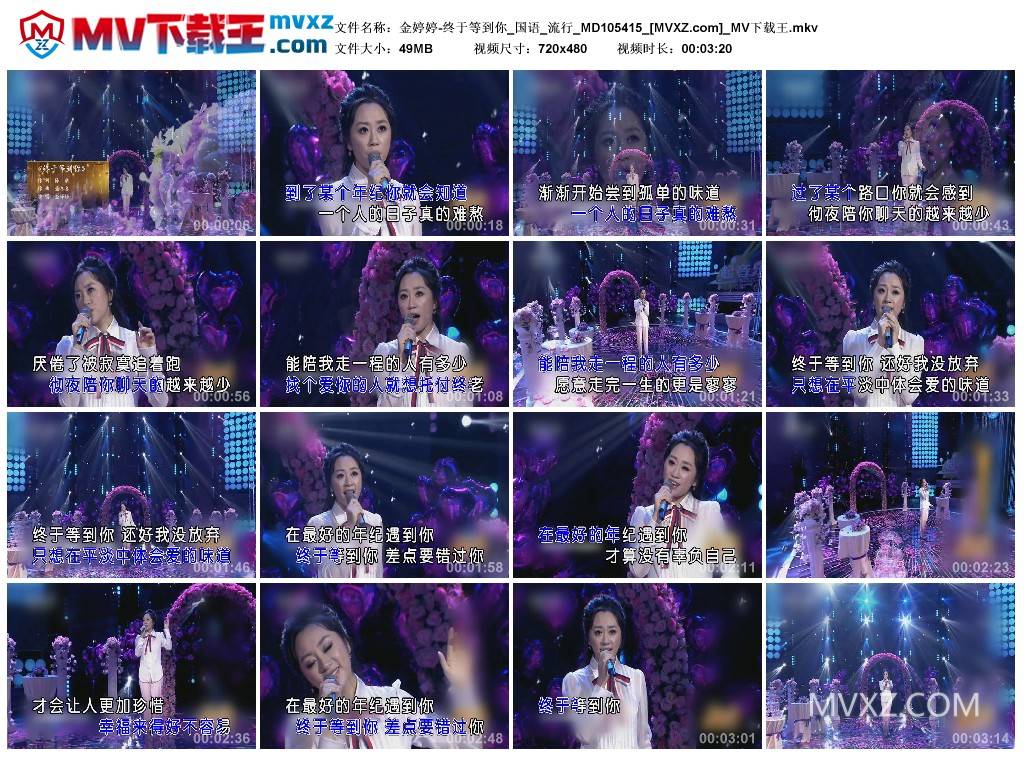 金婷婷-终于等到你_国语_流行_MD105415